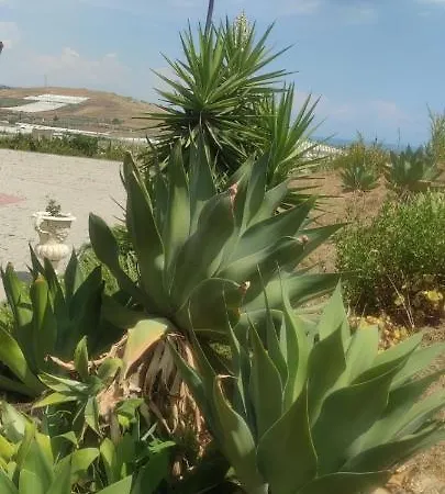 Mare E Collina Holiday home *